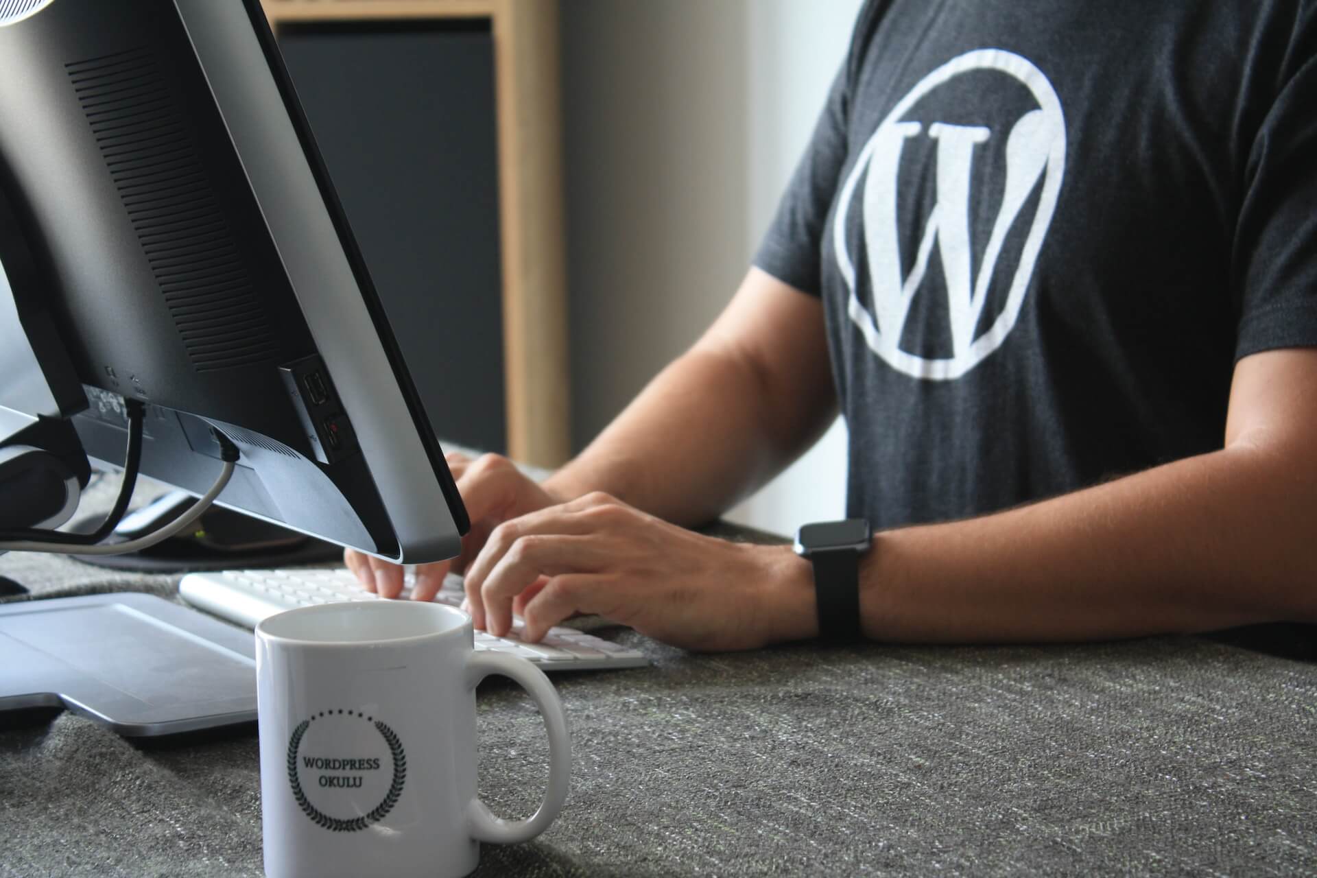 Our Services 2 Man running WordPress updates